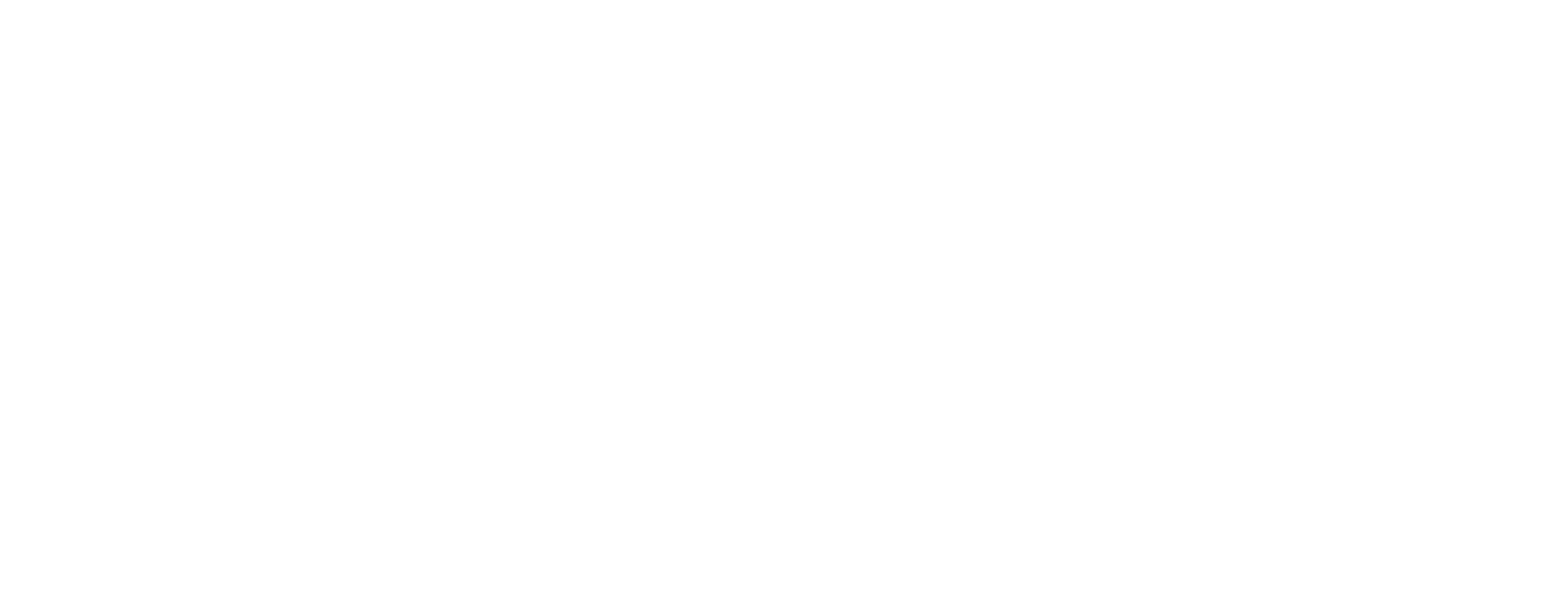 Allegro LogoWhite trans